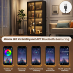 LED Display Cabinet Modern Black Cabinet with App-Controlled Lighting