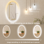 Oval LED Bathroom Mirror